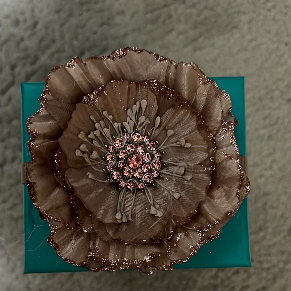 Tieks by Gavrieli Signature Teal Box with special edition Rose topper.